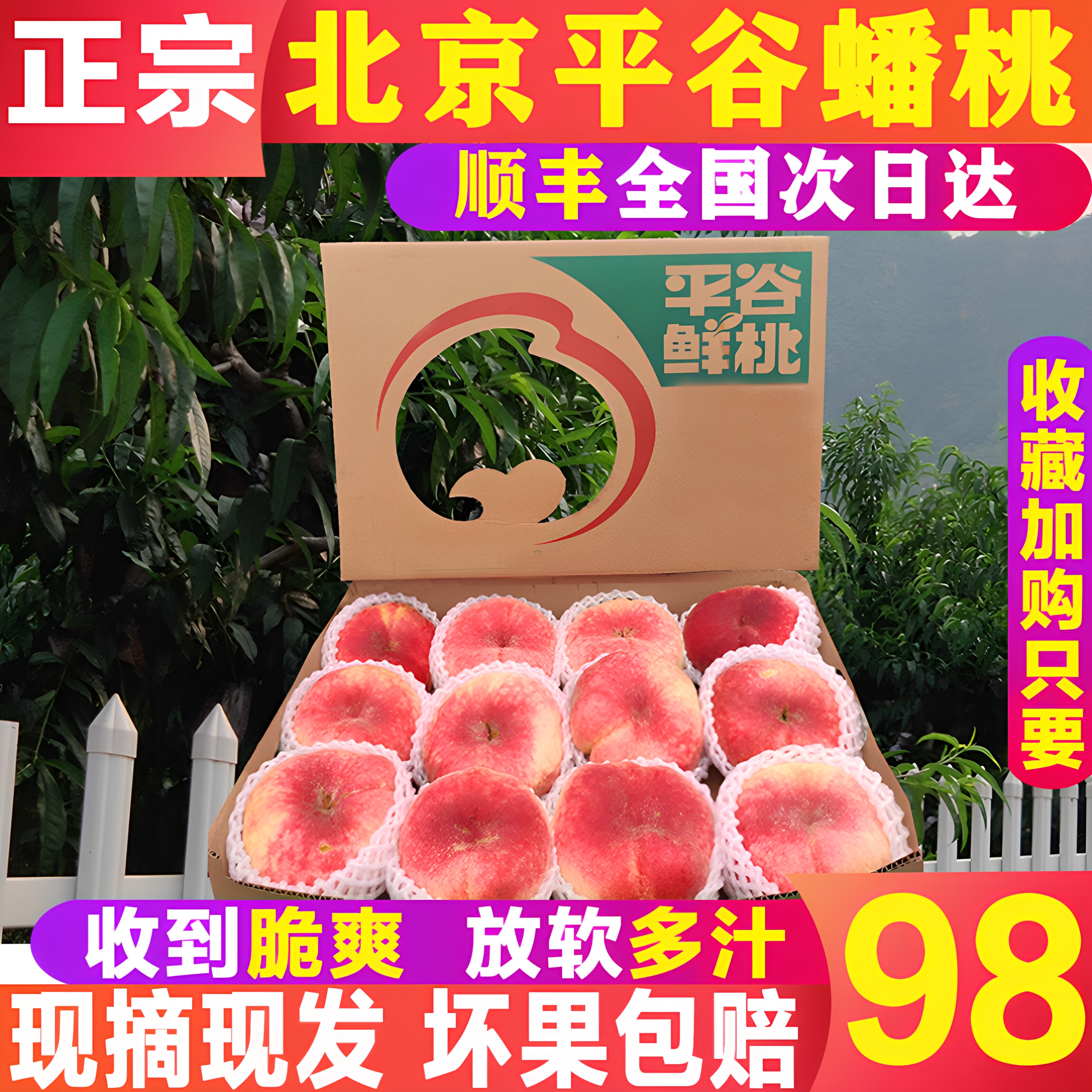 平谷蟠桃现摘现发顺丰包邮脆甜哦