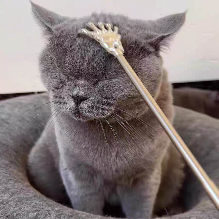 宠物猫咪挠痒神器狗狗抓痒挠猫耙子逗猫棒伸缩痒痒挠互动解闷玩具