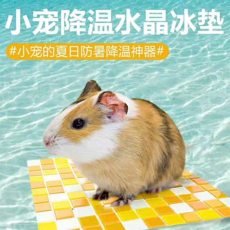荷兰猪夏天散热板水晶冰垫兔子
