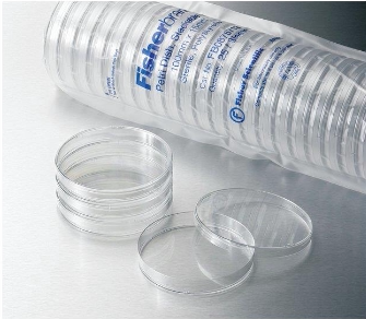 飞世尔/Fisher 透明盖培养皿100 x 15mm 500个/箱 FB0875712 促销
