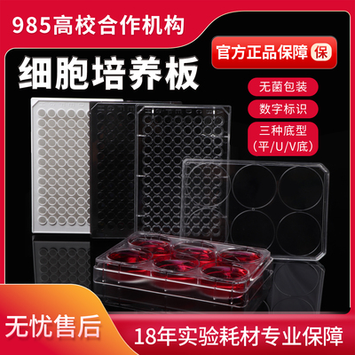 贝兰伯细胞培养板检测板无菌无酶