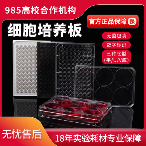 贝兰伯细胞培养板检测板无菌无酶