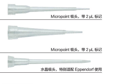 Thermo QSP吸头200ul移液器枪嘴 透明吸头T090-Q进口无酶无热原