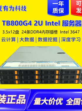 TB800G4 2U准系统12盘位双路至强3647针cpu服务器虚拟机多开运算