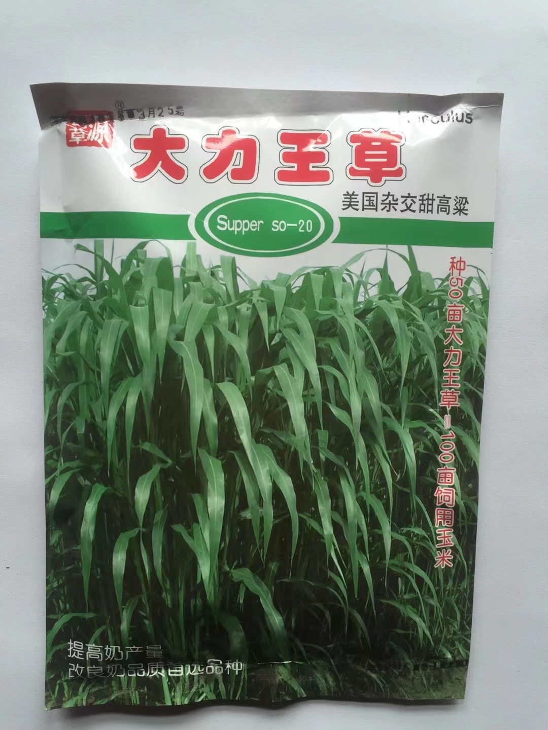 【饲用甜高粱--大力王】牧草种子蛋白高消化率高牛羊鸡鸭均可饲喂