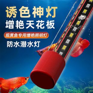 易丹鱼缸灯照明灯ed防水全光谱三色潜水族箱三基色节能观赏增艳灯