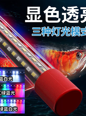 鱼缸照明灯led全光谱防水灯灯管水族箱防水灯超亮小型鱼缸专用灯