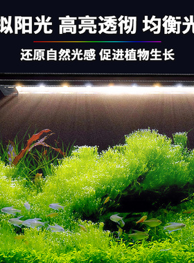 LED水族灯IP67级防水金白光显色促水草发色 溪流原生缸专用照明灯