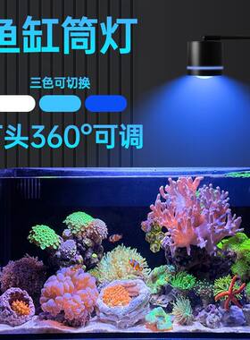 易丹鱼缸LED日光增艳水草灯