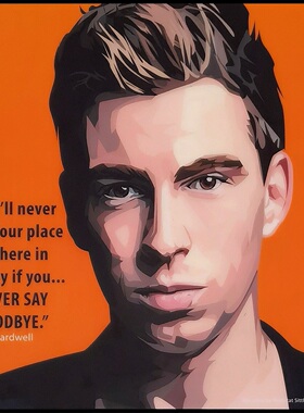 荷兰DJ哈德维尔Hardwell硬好硬威尔硬叔泰国keetatat波普艺术挂画