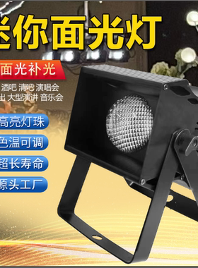 网红迷你神灯100瓦led面光摄影