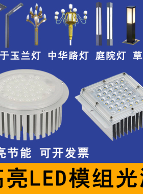 LED路灯模组光源玉兰灯中华灯草坪灯庭院灯替换光源模块电源配件
