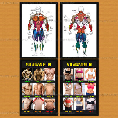 肌肉健身房减脂含量对比图装饰画