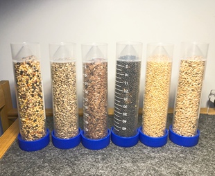 蚂蚁收获蚁种子混合种子加纳利种子