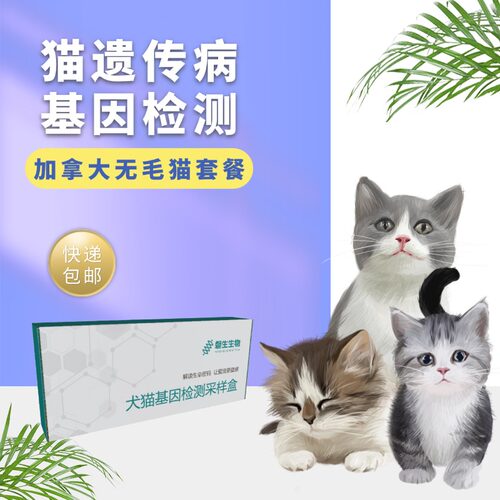 宠物基因检测 猫常见遗传病检测 加拿大无毛猫基因检测 遗传病筛