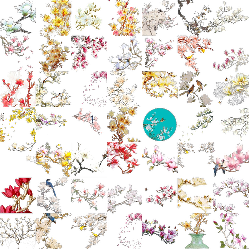 高清兰花玉兰花朵花卉装饰背景PNG免抠图 玉兰花卉插图PS素材63张