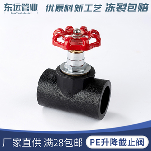 PE管材管6分1寸HDPE升降式截止阀pe水管闸阀开关纯铜阀门接头配件