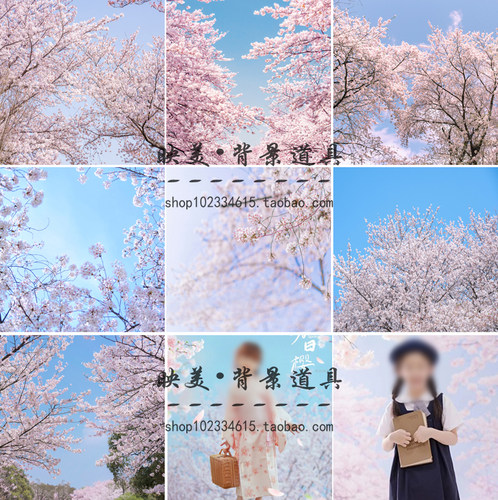 春季樱花清甜少女直播背景布