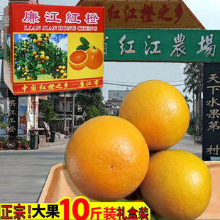 正宗廉江红橙红江橙新鲜当季水果现摘薄多汁孕妇红江农场甜橙10斤
