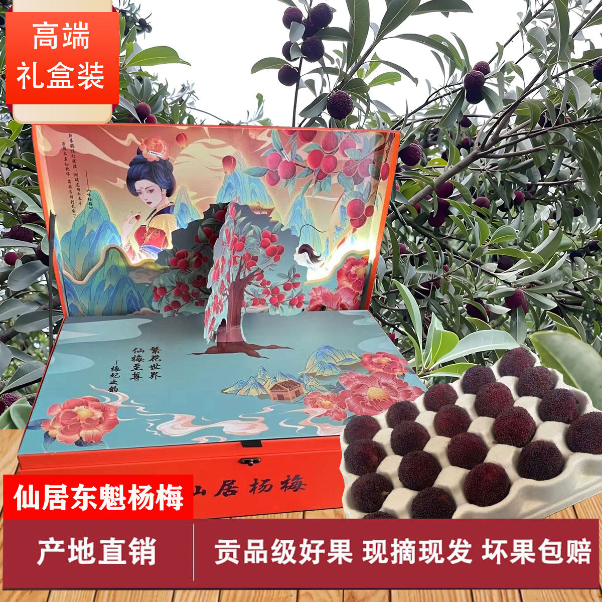 【特级】正宗浙江仙居东魁杨梅乒乓球鲜果新鲜颗粒孕妇水果礼盒装