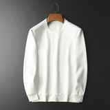 2022秋冬款休闲纯色长袖青年圆领套头卫衣潮版T恤QT6019-2015P45，男装卫衣，电商D228（原B310）