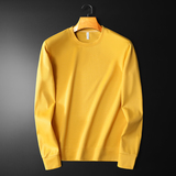 22秋冬新款跑量青年休闲长袖圆领纯色套头卫衣T恤QT6019-7011P25，男装卫衣，电商D228（原B310）