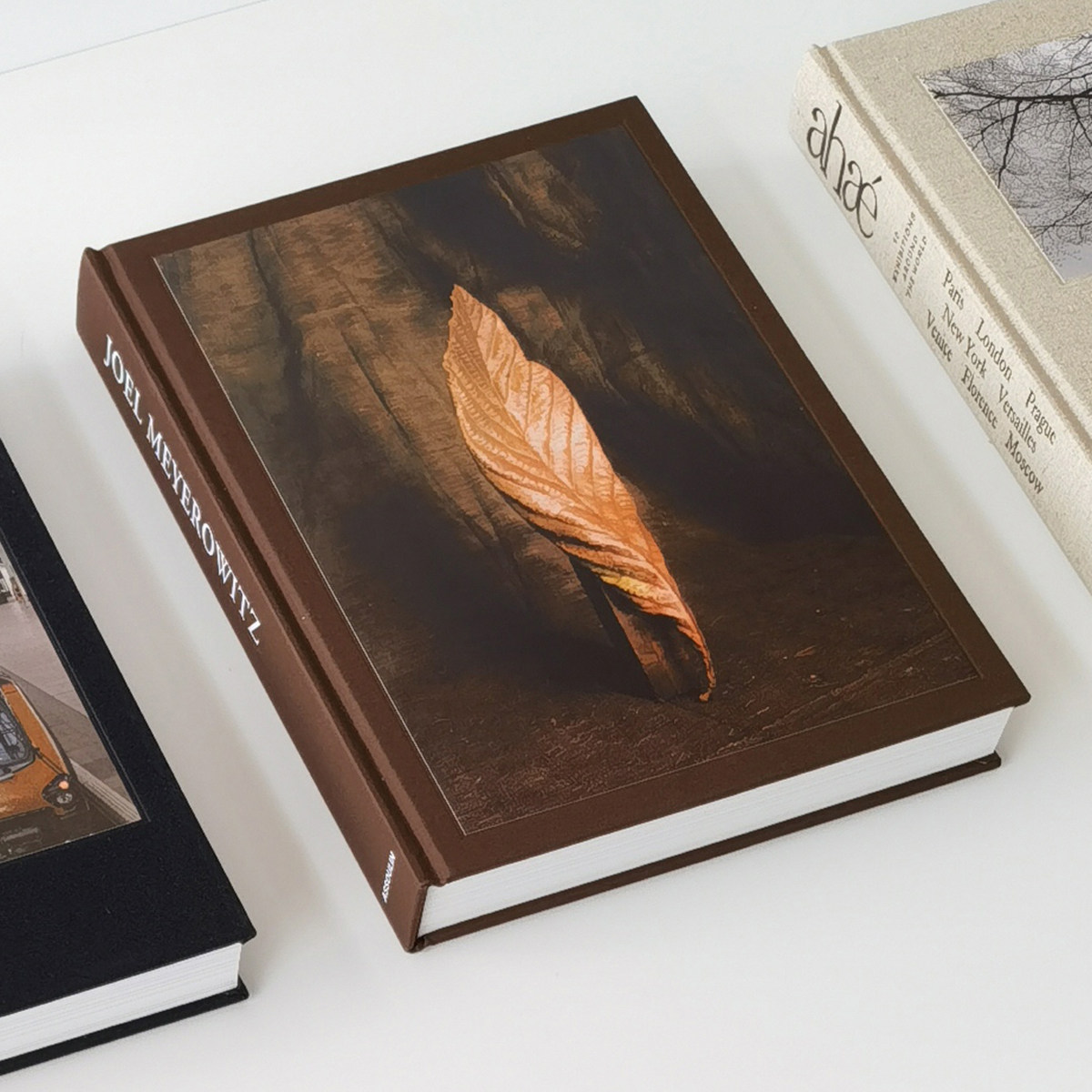 大开本布面真书样板房售楼处酒店会所陈列中古风装饰书籍侘寂摆件,家居饰品,装饰摆件,淘宝优惠券,粉丝福利购,淘宝优惠卷