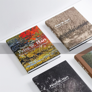 抽象油画作品艺术画册样板间客厅书房展厅轻奢软装 饰品摆件真书