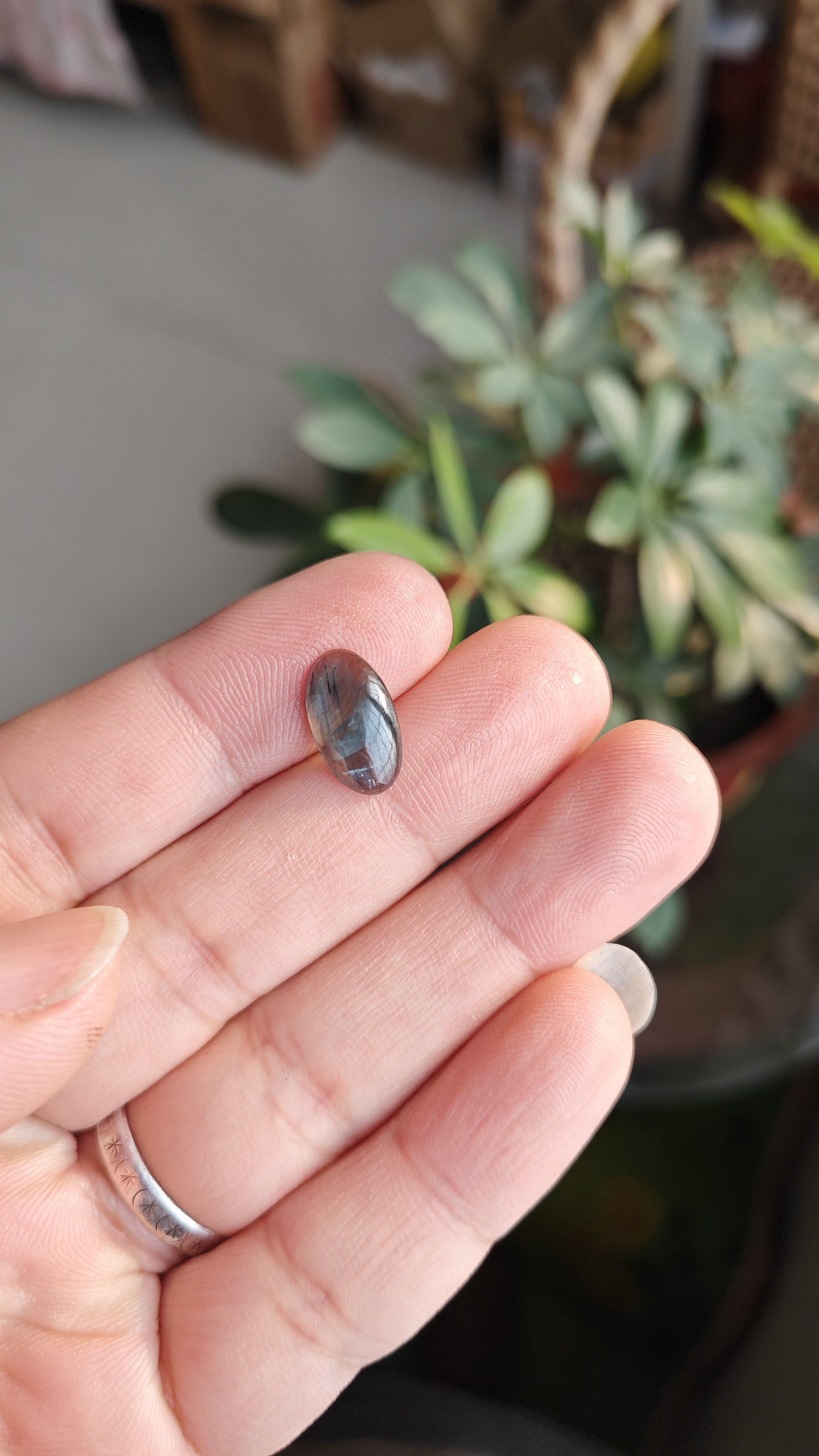 天然山东蓝宝石昌乐裸石戒面素面蛋面蓝绿色玻璃体 通透椭圆8*14