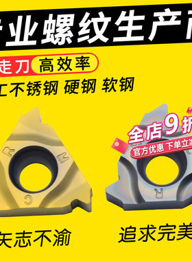 螺纹刀片不锈钢挑丝合金刀头16ERAG60度公制英美制锥管外螺纹牙刀