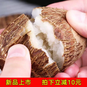 今年新芋头山东莱阳毛芋头新鲜仔奶油小香芋牛现挖软糯5斤
