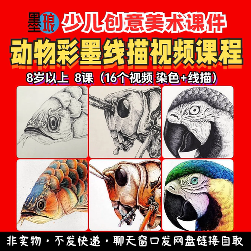 动物彩墨线描-少儿童创意美术视频课程勾线染色绘画美育教学教程