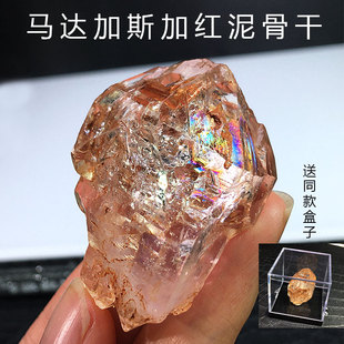 马达加斯加天然红泥骸骨骨干原石标本资料库水胆彩虹开窗城堡摆件
