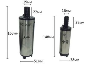 不锈钢直抽酒流泵酒水柴油泵煤油泉水12V24V220V潜水小型水泵家用