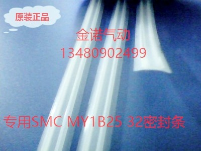 MY1B40G650\700\750\800\850\900\950\1000\L\H机械式无杆气缸