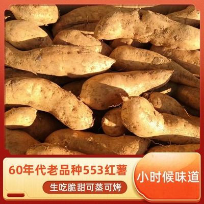 狼牙山红薯黄皮黄壤地瓜红薯 山芋易县白薯烤红薯老品种番薯