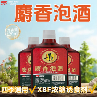 西部风牛B麝香泡酒鱼饵窝料添加剂黑坑野钓鲫鲤通用酒香聚鱼小药