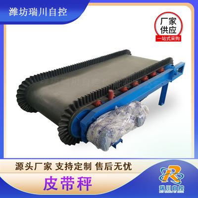 工业水泥生料熟料称重秤 水泥工业定量给料机 电力秤