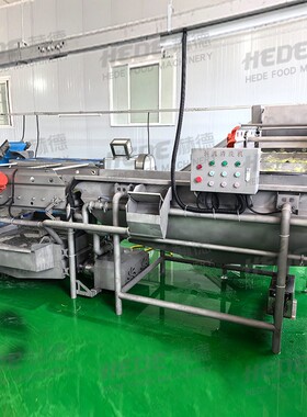 定制豆蔬菜土块冻HD-WL400解冻机 肉用涡流洗菜机 白菜丝清洗商加