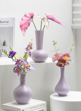紫色现代陶瓷装饰花瓶干花鲜花客厅玄关餐桌轻奢高级感摆件NG