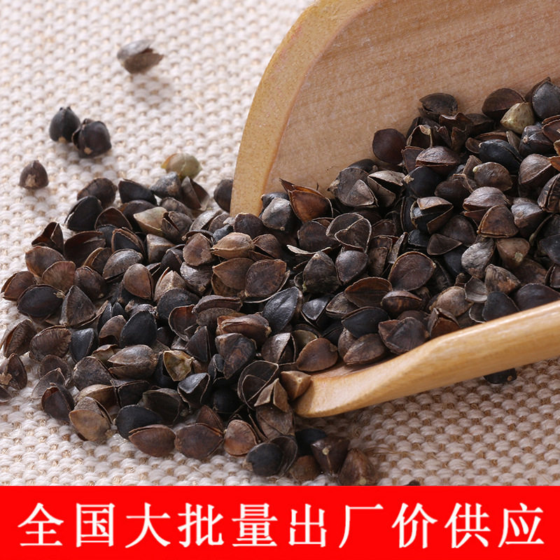 红花荞麦壳散装厂家批发90成壳率荞麦皮枕头填充物水洗高温荞麦壳