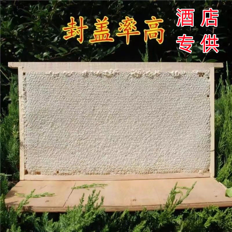 整张蜂巢蜜5-6斤巢蜜带木框板蜜切块酒店展示保真正宗嚼着吃蜂蜜