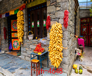 网红田园风3d高清主播背景布摄影农村老房子复古户外直播间背景布