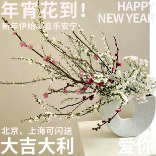 半夏森林春季鲜切花绿植腊梅雪柳超级植物北京同城桌面38节鲜花