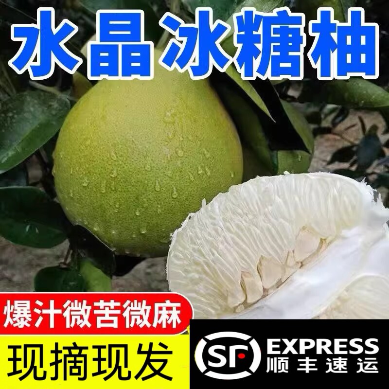 梅州50年老树白肉水晶柚脆甜爆汁