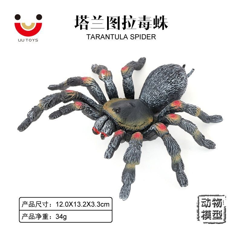 动物模型蜘蛛环保材质