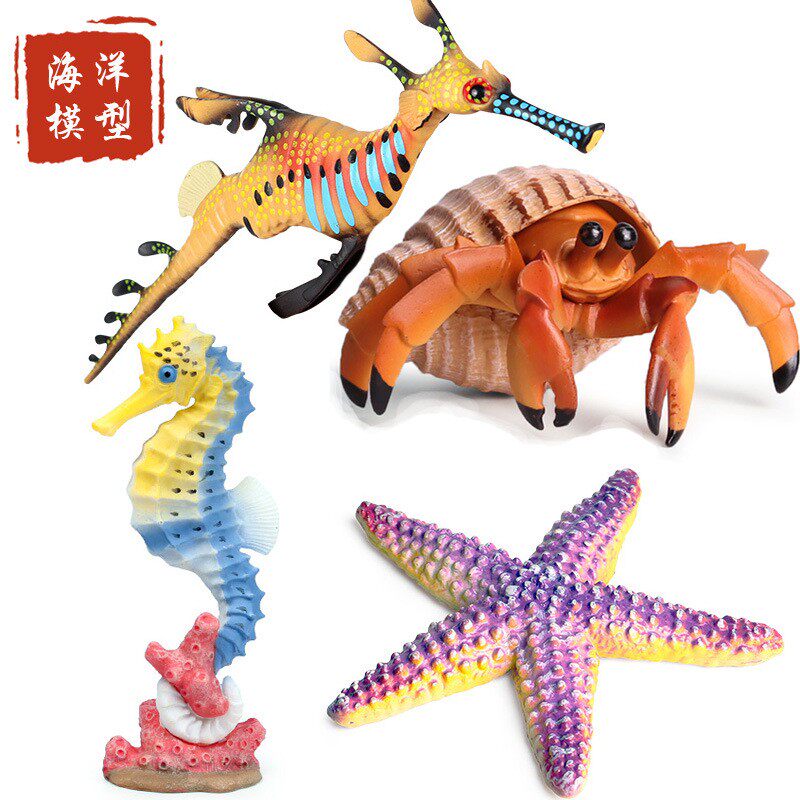 儿童玩具早教认知仿真动物模型海洋生物海马海星海龙寄居蟹鹦鹉螺