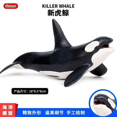 儿童认知塑胶模型玩具