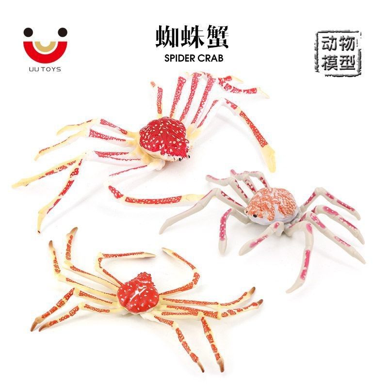 大蜘蛛蟹螃蟹仿真海洋动物模型玩具海底世界儿童认知礼物模型