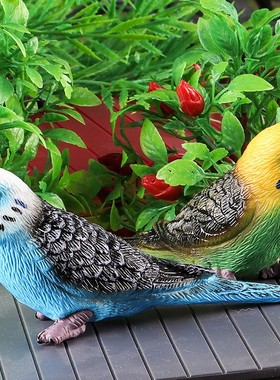 儿童玩具仿真动物模型实心虎皮蓝色鹦鹉鸟类凤头鹦鹉早教认知礼物